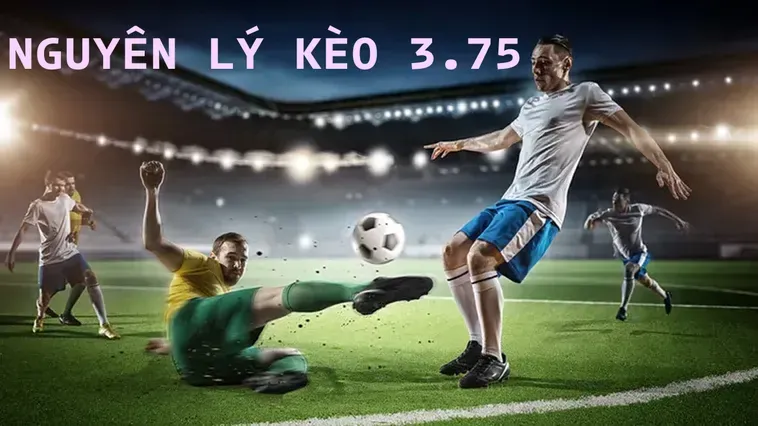 Bí Quyết Chiến Thắng Kèo 3.75 Tại 7M Với Chiến Thuật Đặt Cược Thông Minh Nhất