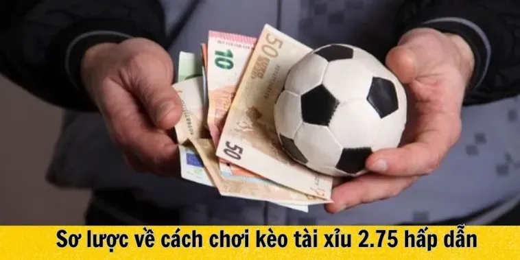 Chiến Thuật Đặt Cược Kèo Chấp 2 3/4 Tại 7M Dành Cho Cao Thủ
