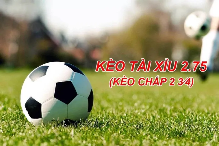 Khám Phá Chiến Thuật Đặt Cược Kèo 2.75 Tại 7M Đỉnh Cao Giúp Người Chơi Thắng Lớn