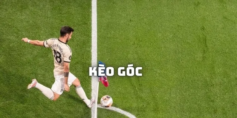 Chiến Thuật Soi Kèo Phạt Góc Bóng Đá Tại 7M Siêu Chuẩn Xác Cho Bạn