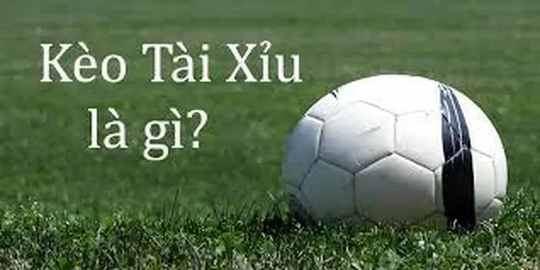 Kèo Tài Xỉu Tại 7M Chiến Thuật Dự Đoán Bàn Thắng Cho Mùa Giải 2026